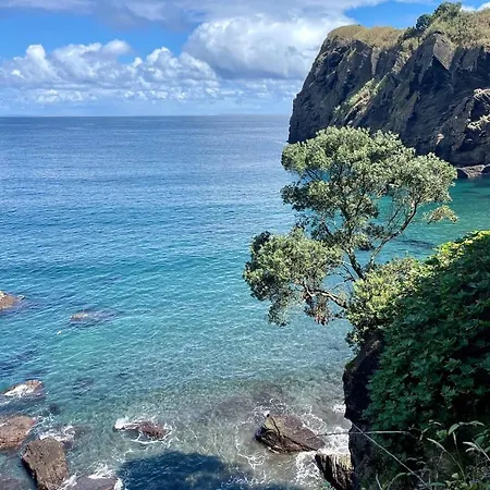 The Blue House Azores * Capelas